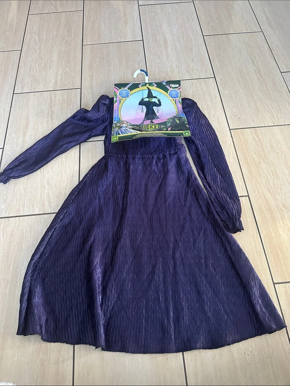 Disguise Wicked Elphaba Halloween Crossplay Costume